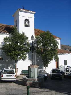 Arenas