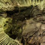 St Michael´s Cave St Michaels Cave