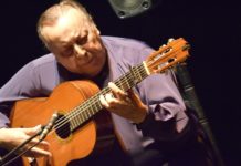Flamenco Guitarist