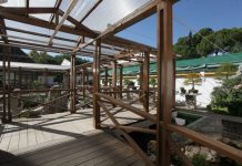 Bonsai museum