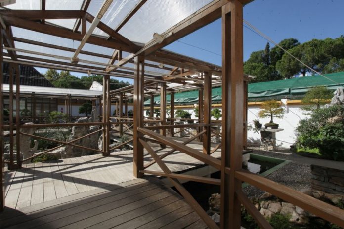 Bonsai museum