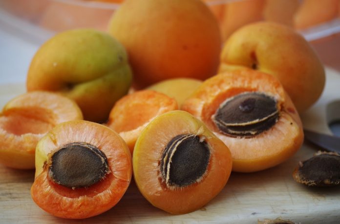 Apricot Recipes