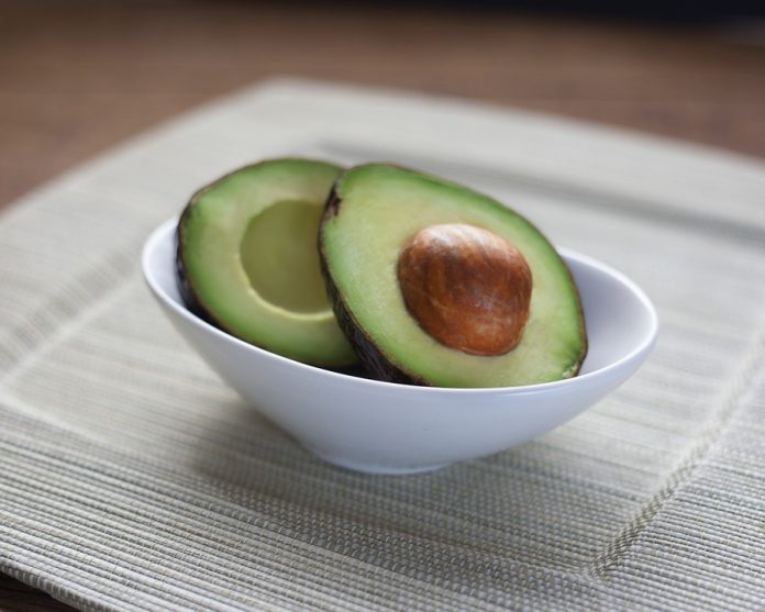 Avocado Recipes