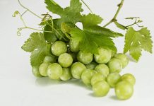 Grape Recipes