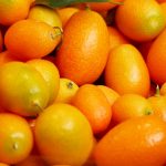 Kumquat recipes