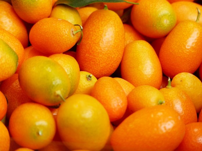 Kumquat recipes Kumquat recipes