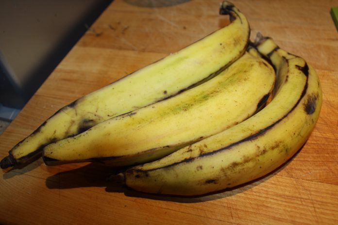 plantain recipes