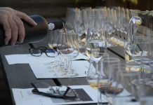 Wine Glossary Wine Tasting