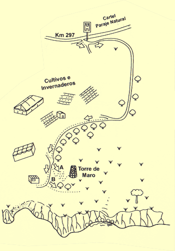 Torre de Maro
