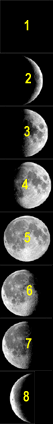 8 phases of the moon